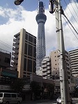 サンプル画像