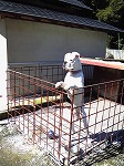 サンプル画像