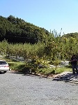 サンプル画像