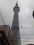 サンプル画像