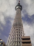 サンプル画像