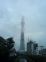 サンプル画像