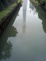 サンプル画像