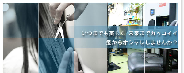 �n�c�� ���� �k�ы��� ���� ���f�B�[�X�V�F�[�r���O